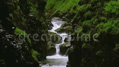 溪水在被绿色植物覆盖的群山之间流动。 夏日。 景观。 自然。 石头
